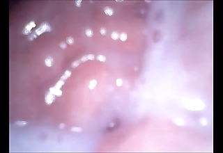 Webcam encircling indiscretion vagina plus ass